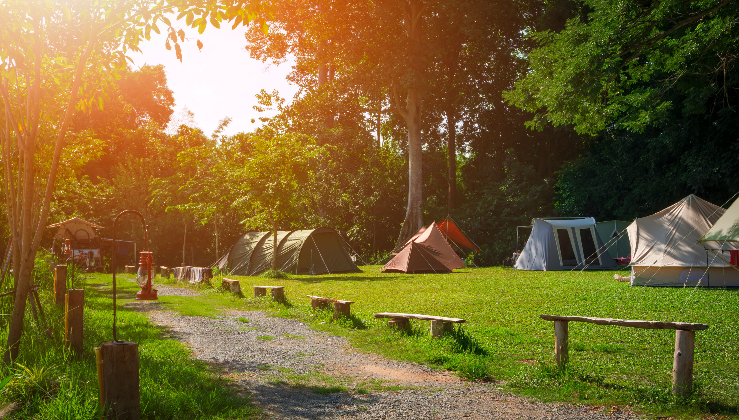 Morning,Sunlight,On,Surface,Of,Various,Field,Tents,Group,On